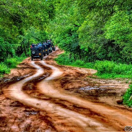 Dambulla Shan Inn エクステリア 写真